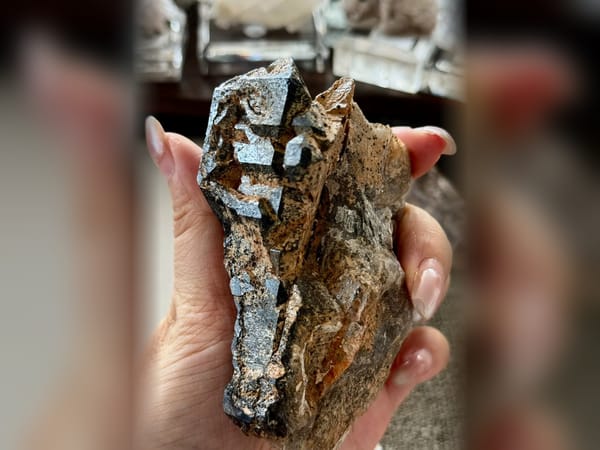 Madagascar Black Skeletal Quartz with Mica, 241.5 g Elestial Mineral Specimen — alternate view