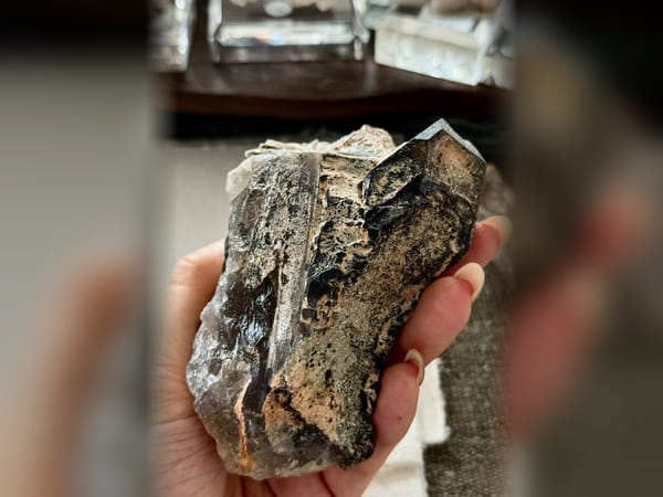 Madagascar Black Skeletal Quartz with Mica, 241.5 g Elestial Mineral Specimen — alternate view