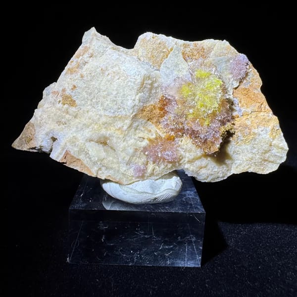 White Creedite Flower with Yellow and Pink Guizhou 6.5 cm — complete view