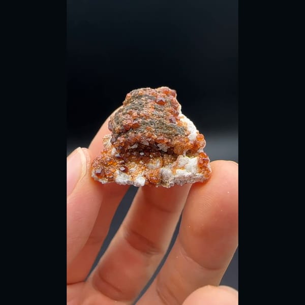 Dark clinochlore with orange spessartine garnets from Yunxiao, Fujian — alternate view