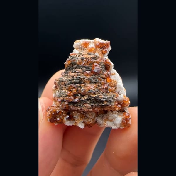 Dark clinochlore with orange spessartine garnets from Yunxiao, Fujian — detail view