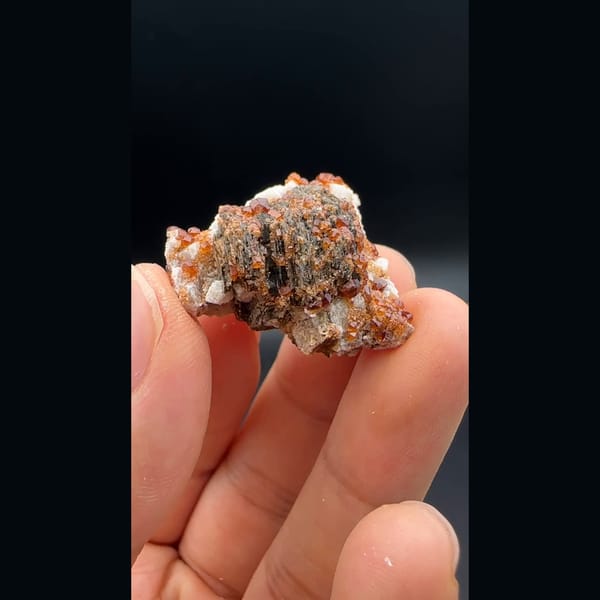 Dark clinochlore with orange spessartine garnets from Yunxiao, Fujian — detail view