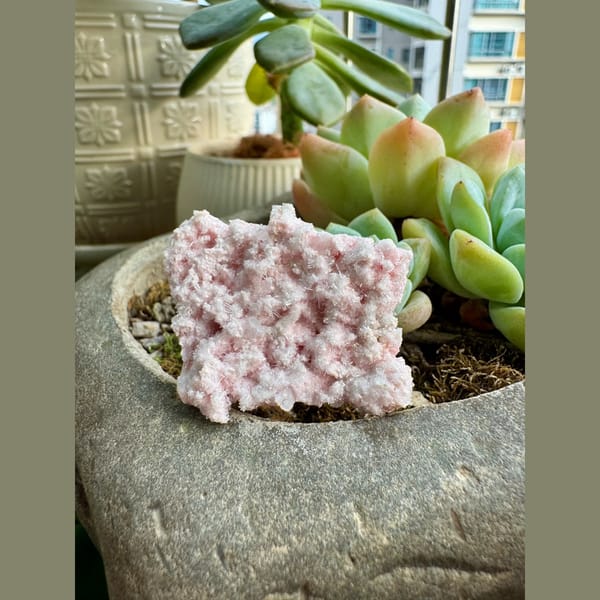 Pink Rhodochrosite Bulgaria 4.0 cm — complete view