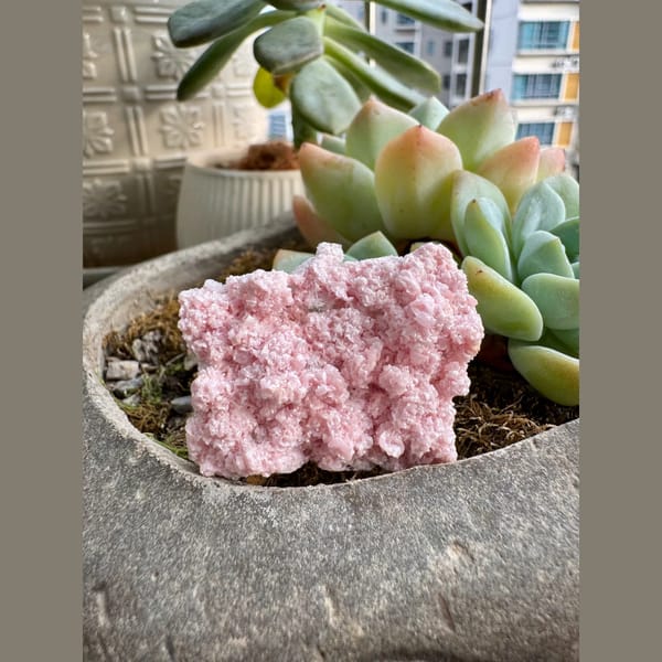 Pink Rhodochrosite Bulgaria 4.0 cm — alternate view