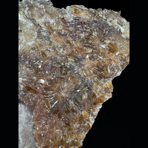 Cream Creedite Chrysanthemum Plate 9.0 cm — alternate view