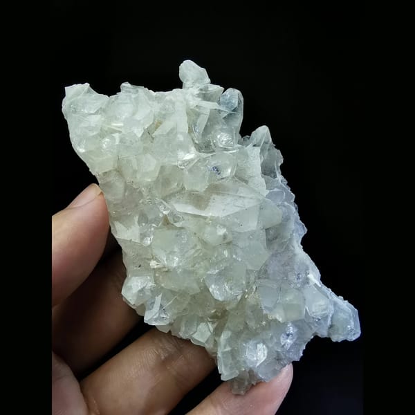 Large plate of apophyllite crystals — complete view