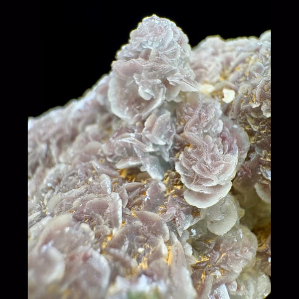 Lavender Quartz with White Crystal Crust Inner Mongolia 8.0 cm — detail view