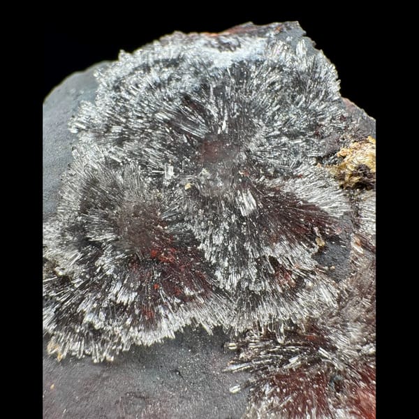 Red Creedite Radiating Spray 8.0 cm — complete view