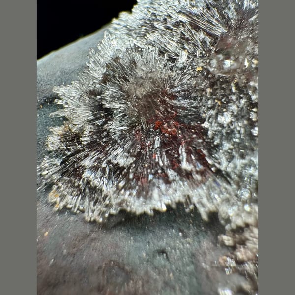 Red Creedite Radiating Spray 8.0 cm — alternate view