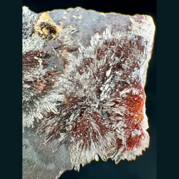 Red Creedite Radiating Spray 8.0 cm — alternate view
