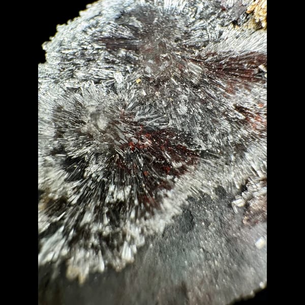 Red Creedite Radiating Spray 8.0 cm — detail view