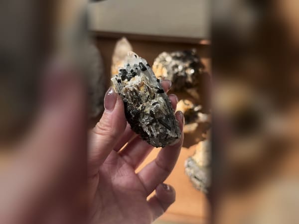 Nepal Himalayan Quartz with Black Tourmaline, 68.9 g Skeletal Mineral Specimen — alternate view