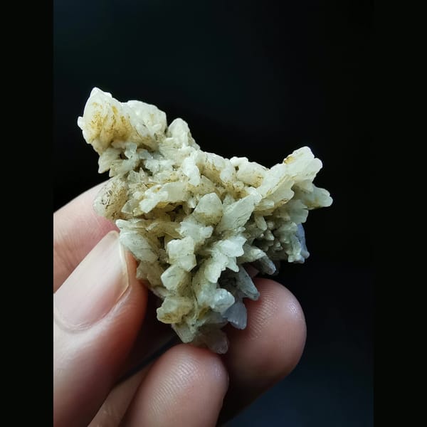 Floater cluster of off-white dogtooth calcite — complete view
