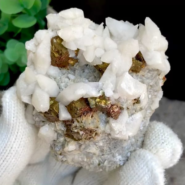 White calcite with brassy pyrite — complete view