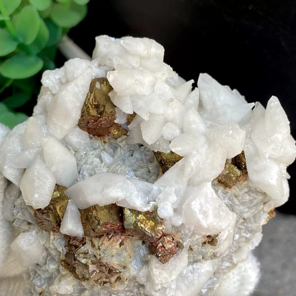 White calcite with brassy pyrite — detail view