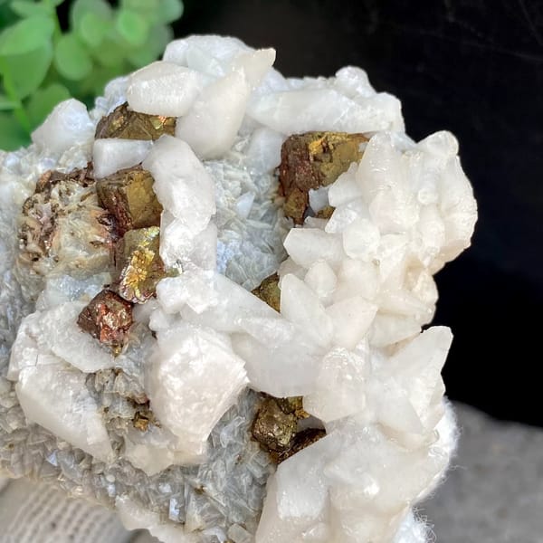 White calcite with brassy pyrite — detail view