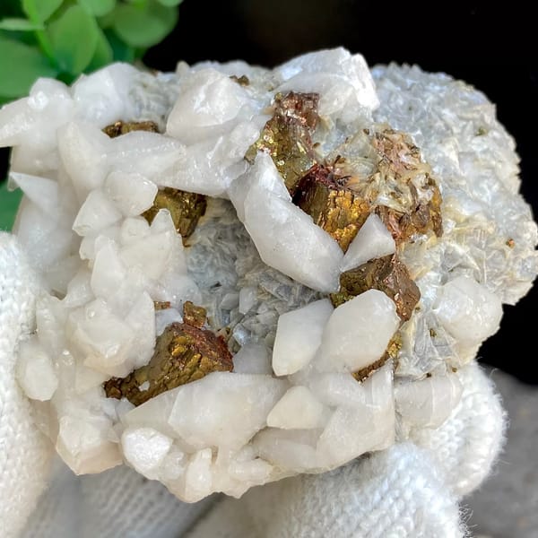 White calcite with brassy pyrite — detail view