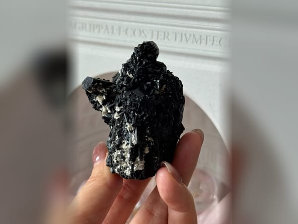 Namibia Black Tourmaline with Mica 127 g, Freestanding Schorl Mineral Specimen — alternate view