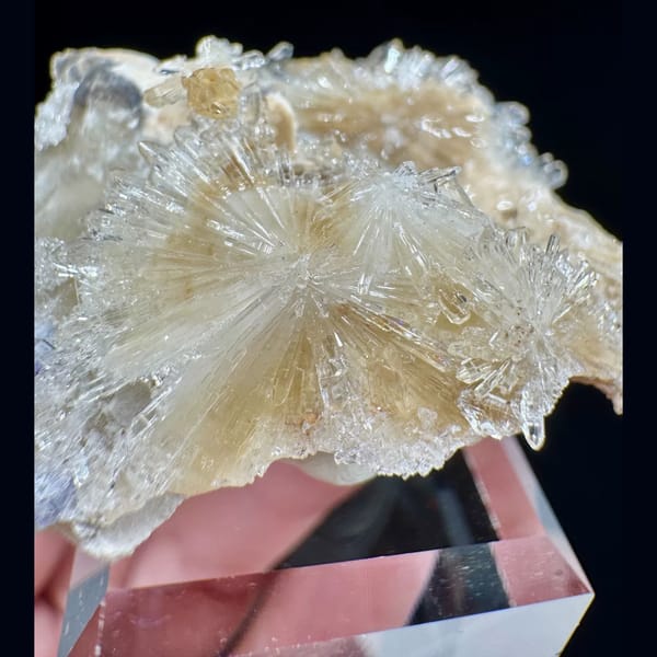 Cream Creedite Fan Cluster 4.5 cm — complete view