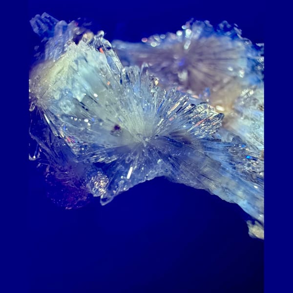 Cream Creedite Fan Cluster 4.5 cm — detail view
