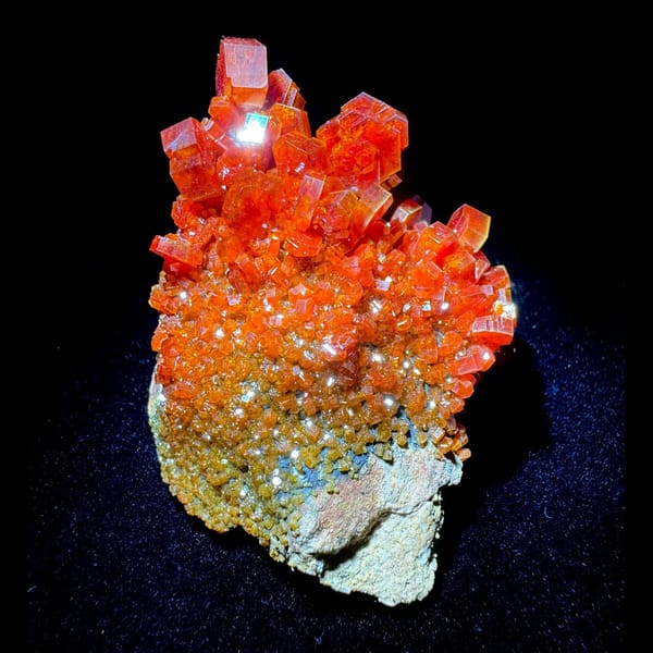 Red Vanadinite Crystal Cluster Morocco 6.5 cm — complete view