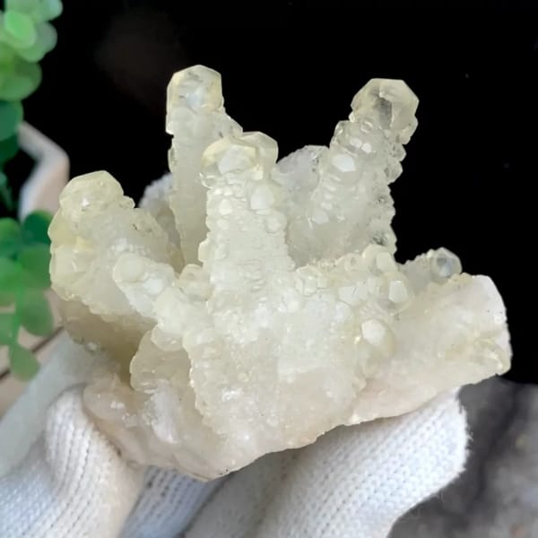 Pale yellow translucent dogtooth calcite — complete view