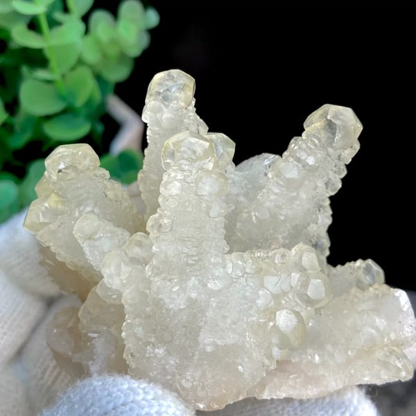 Pale yellow translucent dogtooth calcite — detail view