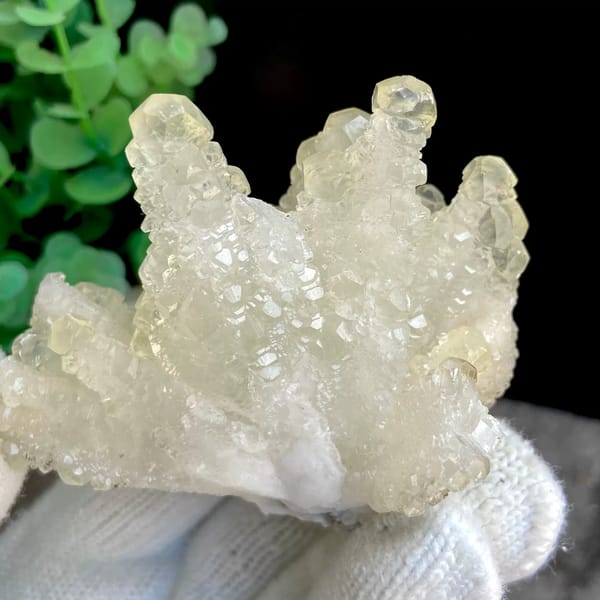 Pale yellow translucent dogtooth calcite — detail view