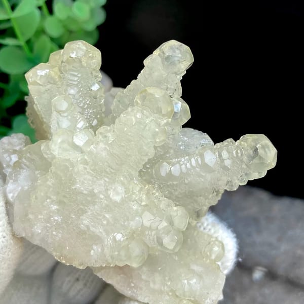 Pale yellow translucent dogtooth calcite — detail view