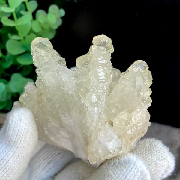 Pale yellow translucent dogtooth calcite — detail view