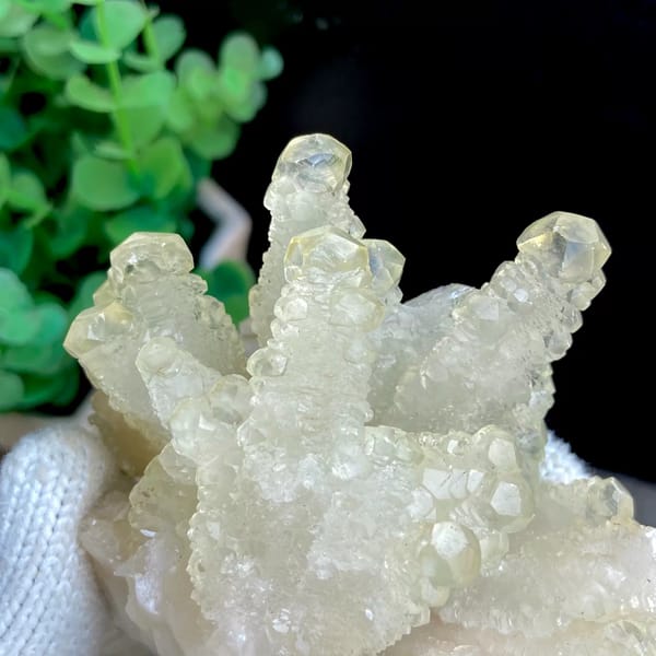 Pale yellow translucent dogtooth calcite — detail view