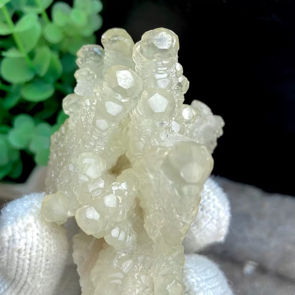 Pale yellow translucent dogtooth calcite — detail view