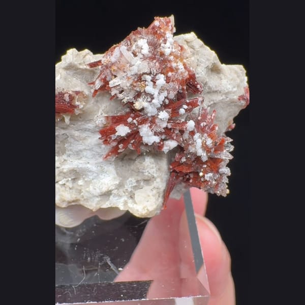 Wine-Red Creedite with White Crystals 6.5 cm — complete view (video frame)