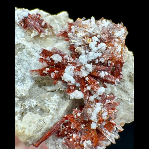 Wine-Red Creedite with White Crystals 6.5 cm — detail view