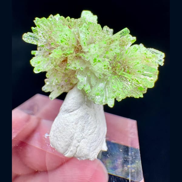Creedite with Conichalcite 2.0 cm — alternate view