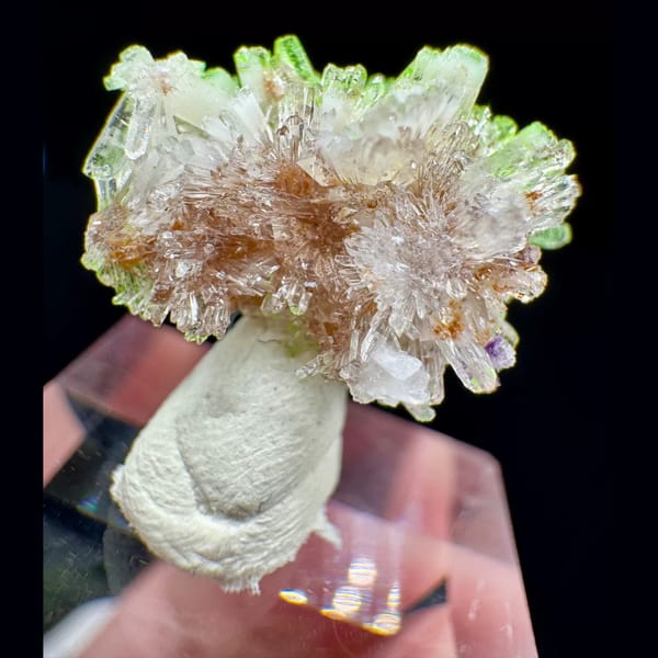 Creedite with Conichalcite 2.0 cm — detail view