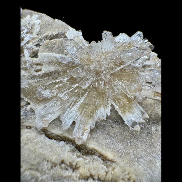 White Creedite Sprays with Yellow on Matrix 6.0 cm — alternate view
