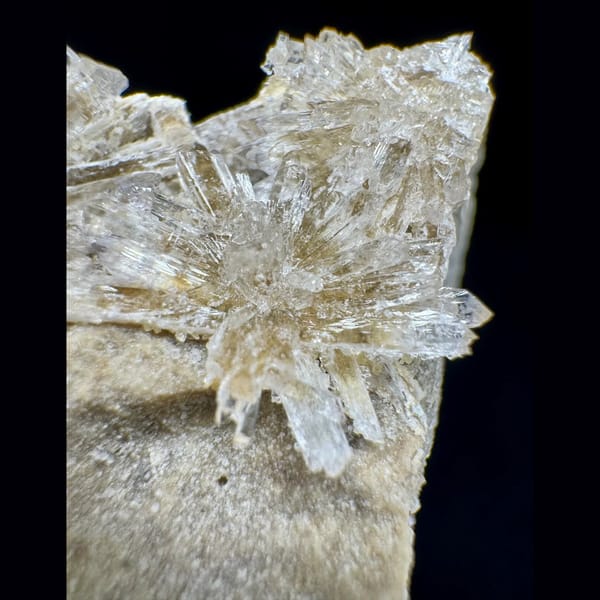 White Creedite Sprays with Yellow on Matrix 6.0 cm — detail view