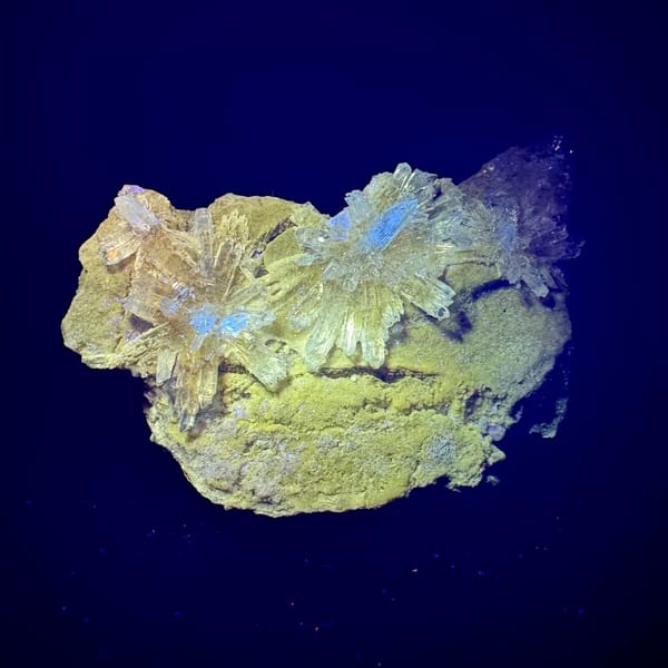 White Creedite Sprays with Yellow on Matrix 6.0 cm — detail view