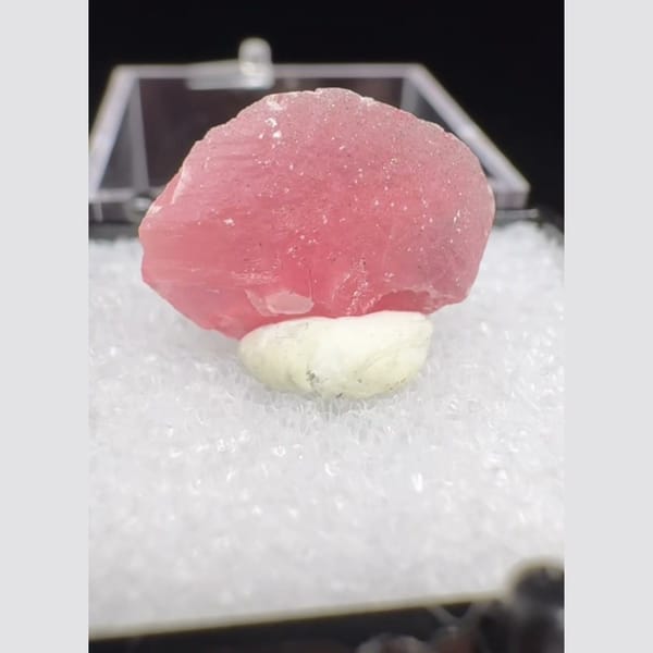 Pink Rhodochrosite on White Matrix Guangxi 1.8 cm — complete view
