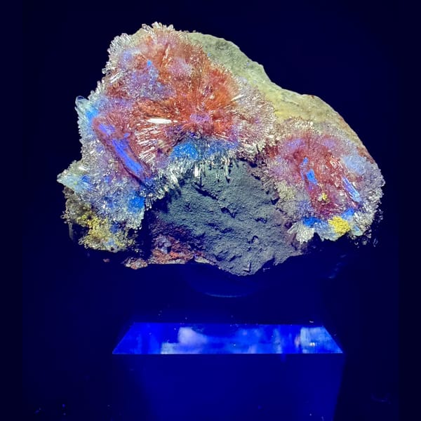 Red-Orange Creedite on Dark Matrix 4.5 cm — detail view