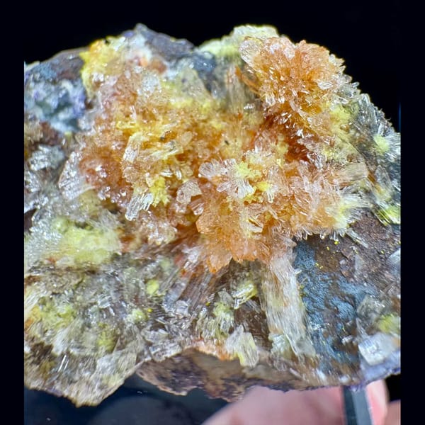 Orange-Yellow Creedite Clusters on Matrix 5.0 cm — alternate view