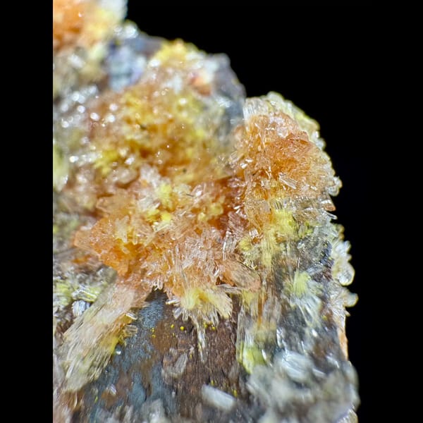Orange-Yellow Creedite Clusters on Matrix 5.0 cm — detail view