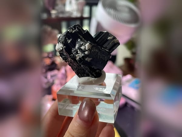 Namibia Black Tourmaline on Feldspar 50.3 g, Terminated Schorl Mineral Specimen — complete view