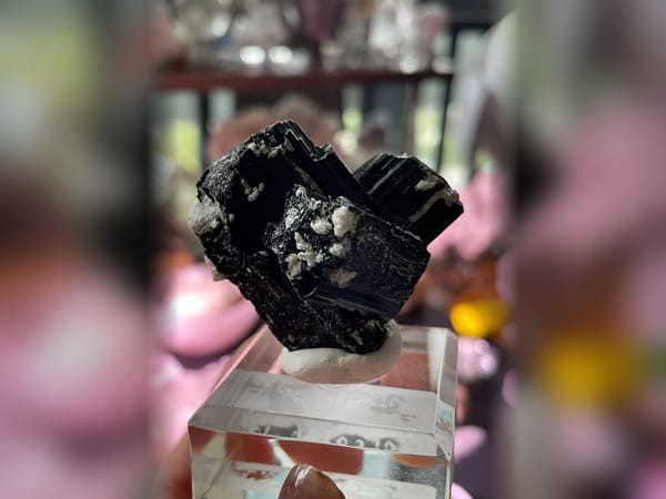 Namibia Black Tourmaline on Feldspar 50.3 g, Terminated Schorl Mineral Specimen — alternate view
