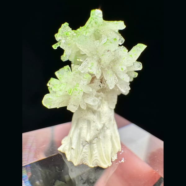 Creedite with Conichalcite Guizhou 1.6 cm — alternate view
