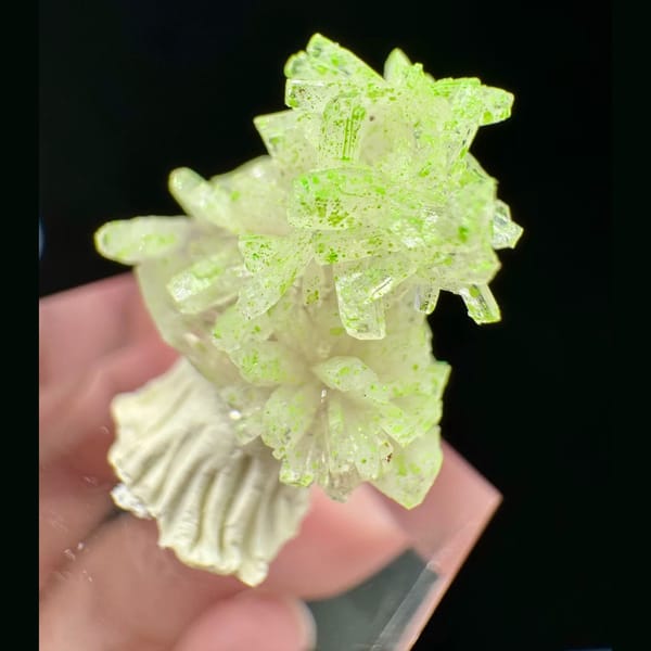 Creedite with Conichalcite Guizhou 1.6 cm — detail view
