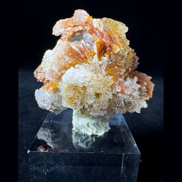 Orange-Yellow Creedite Flower 4.0 cm — complete view