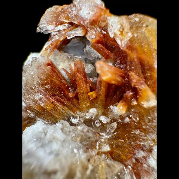Orange-Yellow Creedite Flower 4.0 cm — alternate view