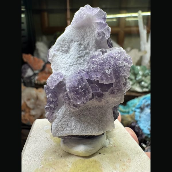 Purple Fluorite Cubes on Matrix 5.0 cm — detail view